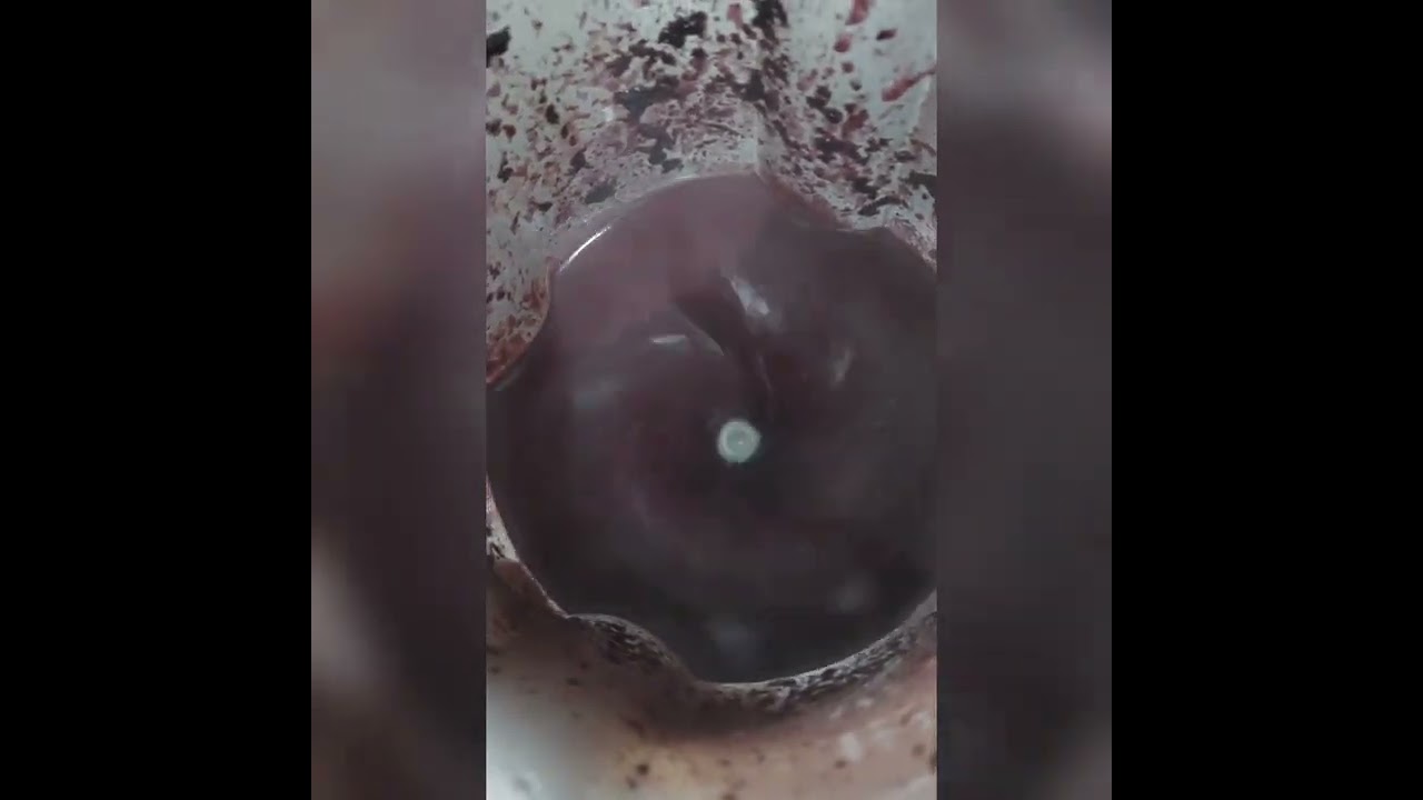 Liofilizacão do pó de açaí puro