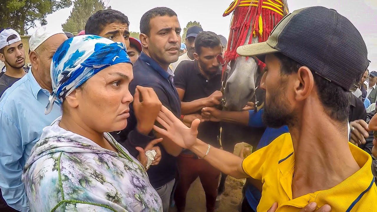 راسية جميلة فكات اكبر موشكيل فرحبة الخيل كساب من الرباط مسخاش بعودو بغاو يحيدوه ليه صحا