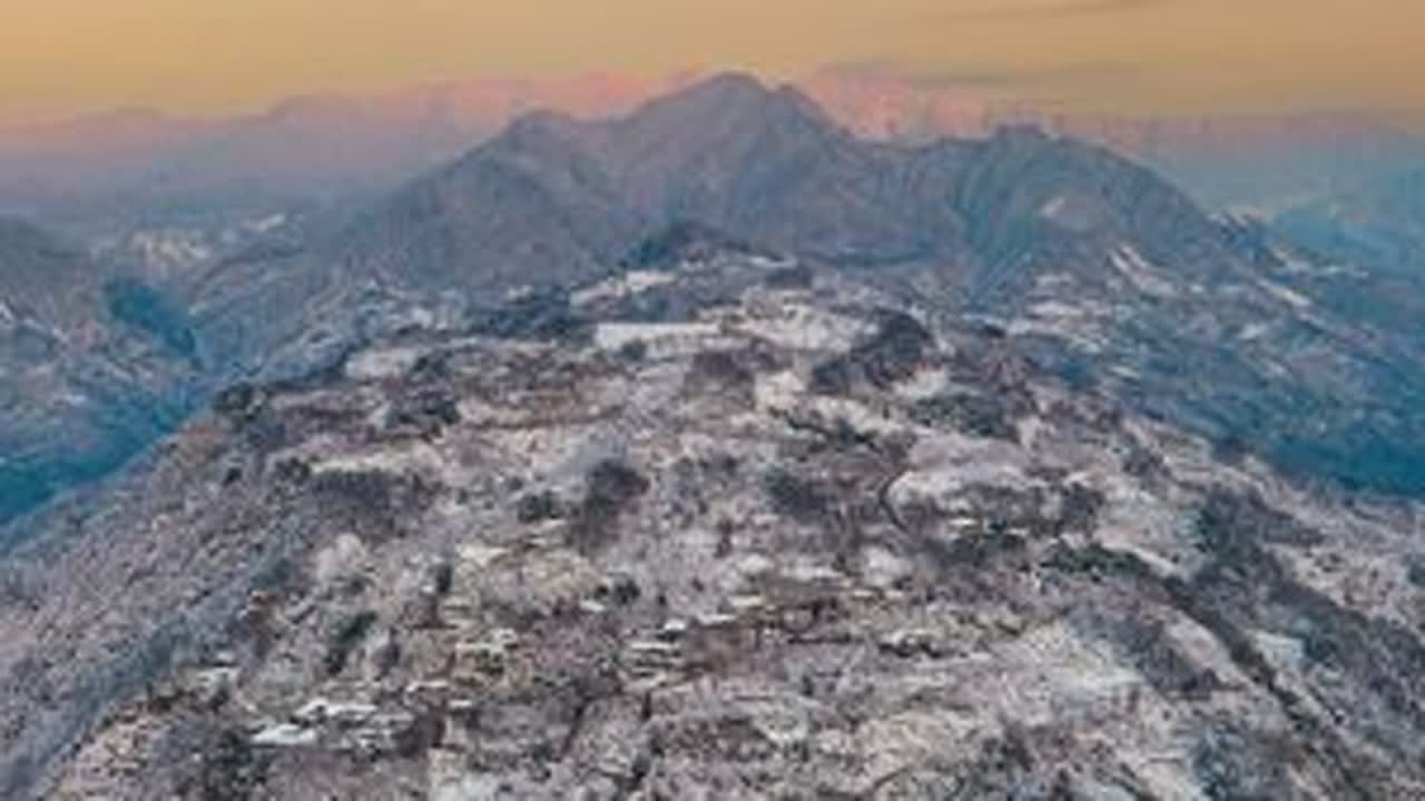 冰雪梅李大坪山