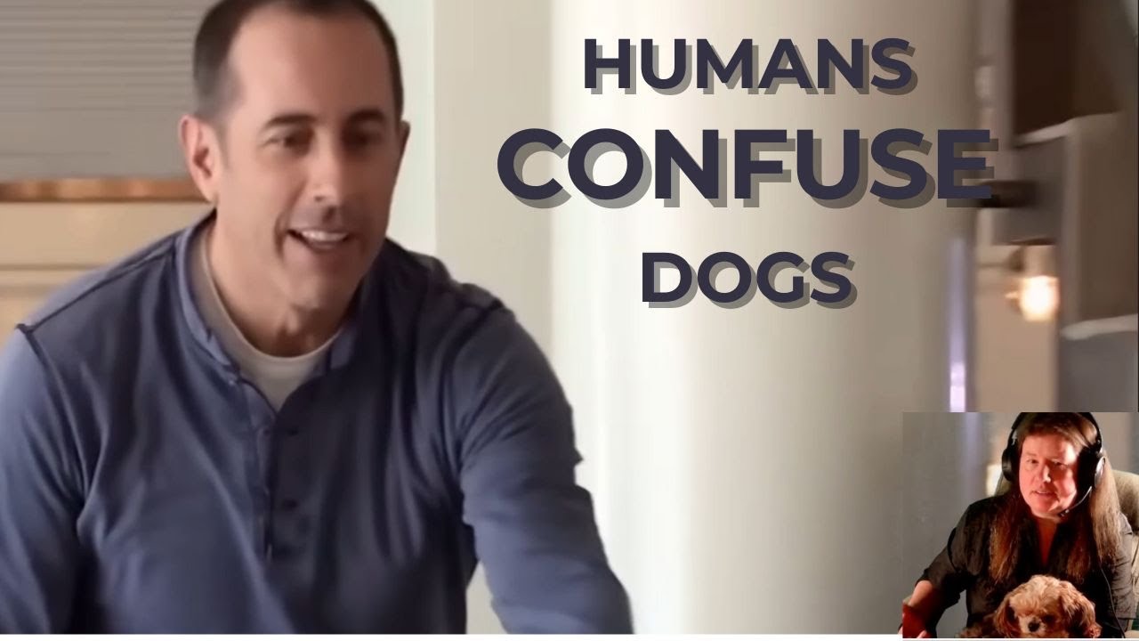 Helping Jerry Seinfeld’s Dachshunds by Changing the Humans | Dogs Decoded