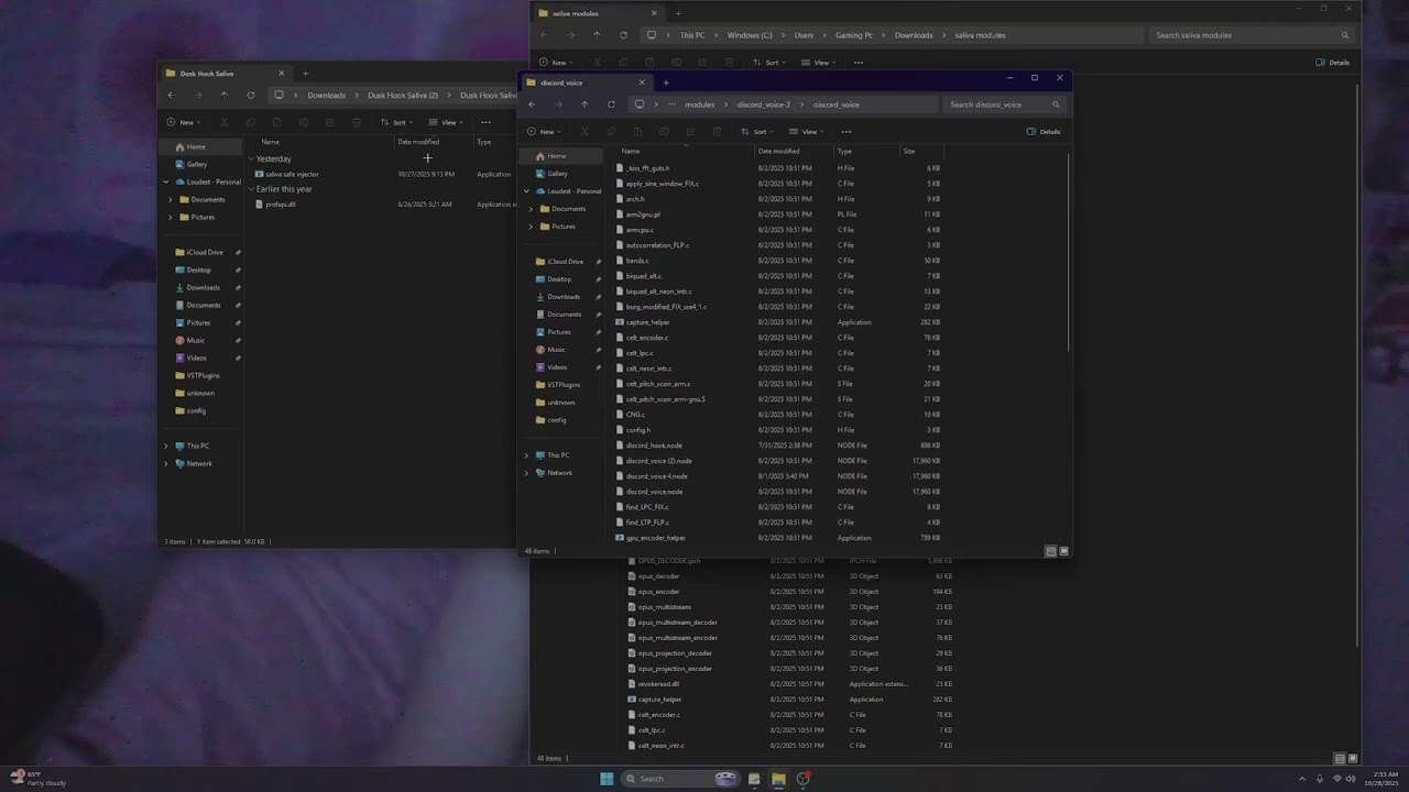 How to use a HOOK (DISCORD PACKING)