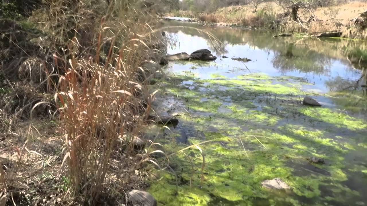 Pedernales River Basin