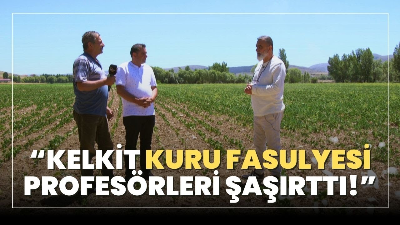 Kelkit Kuru Fasulyesi Profesörleri Şaşırttı!
