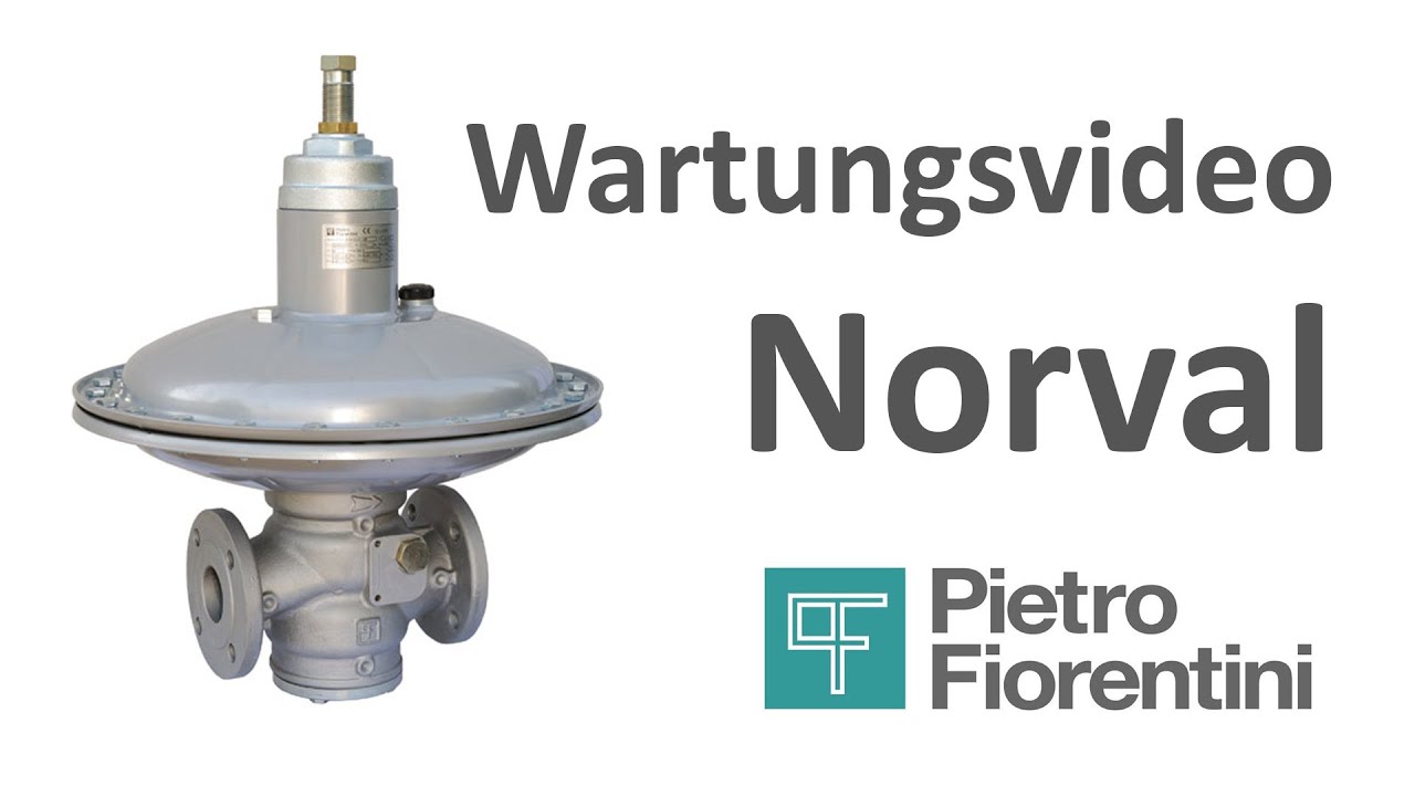 Fiorentini Deutschland  Wartung Norval
