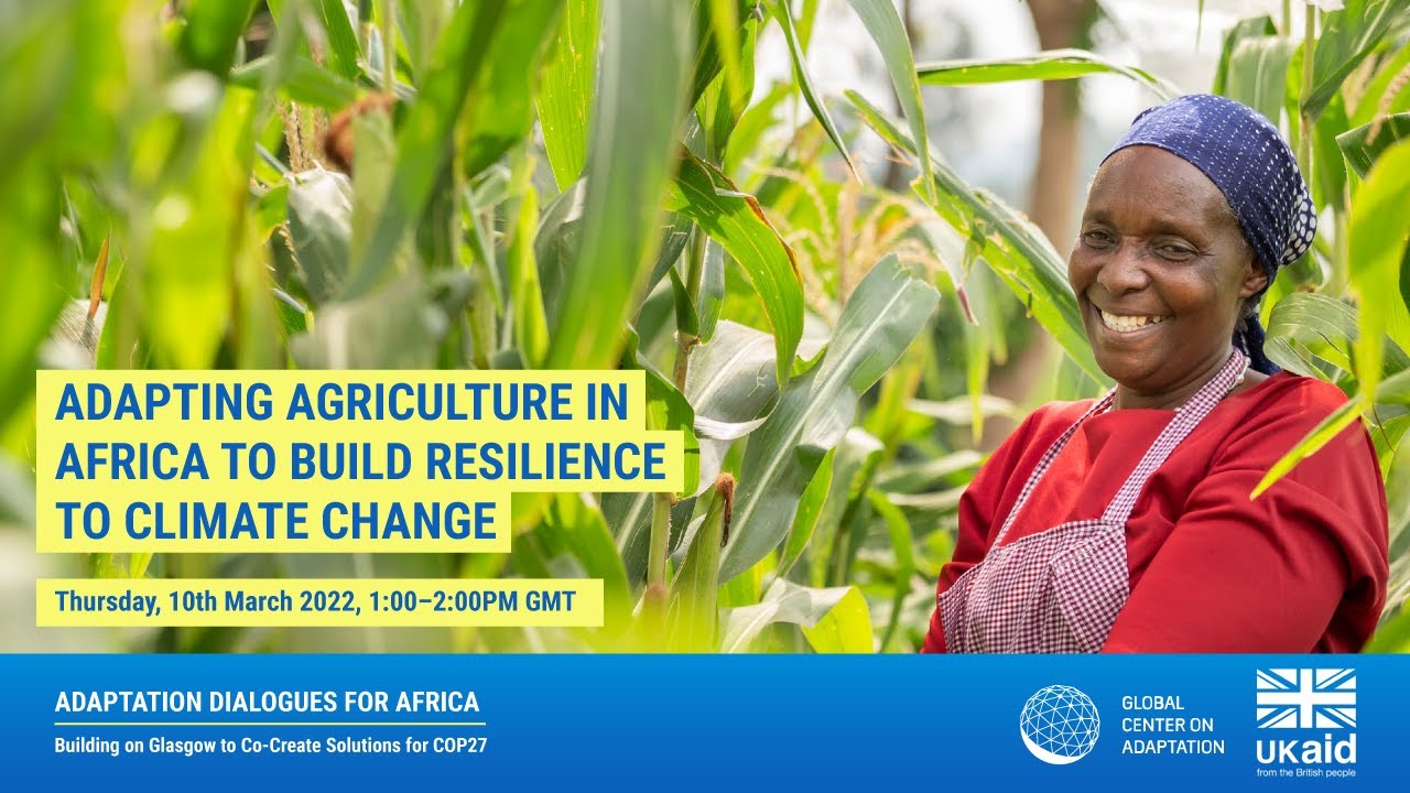 Webinar: Adapting agriculture in Africa to build resilience to climate change