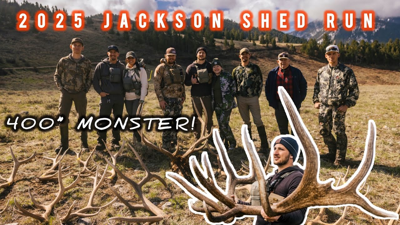 400” RUN | JACKSON HOLE WYOMING SHED HUNT OPENER 2025