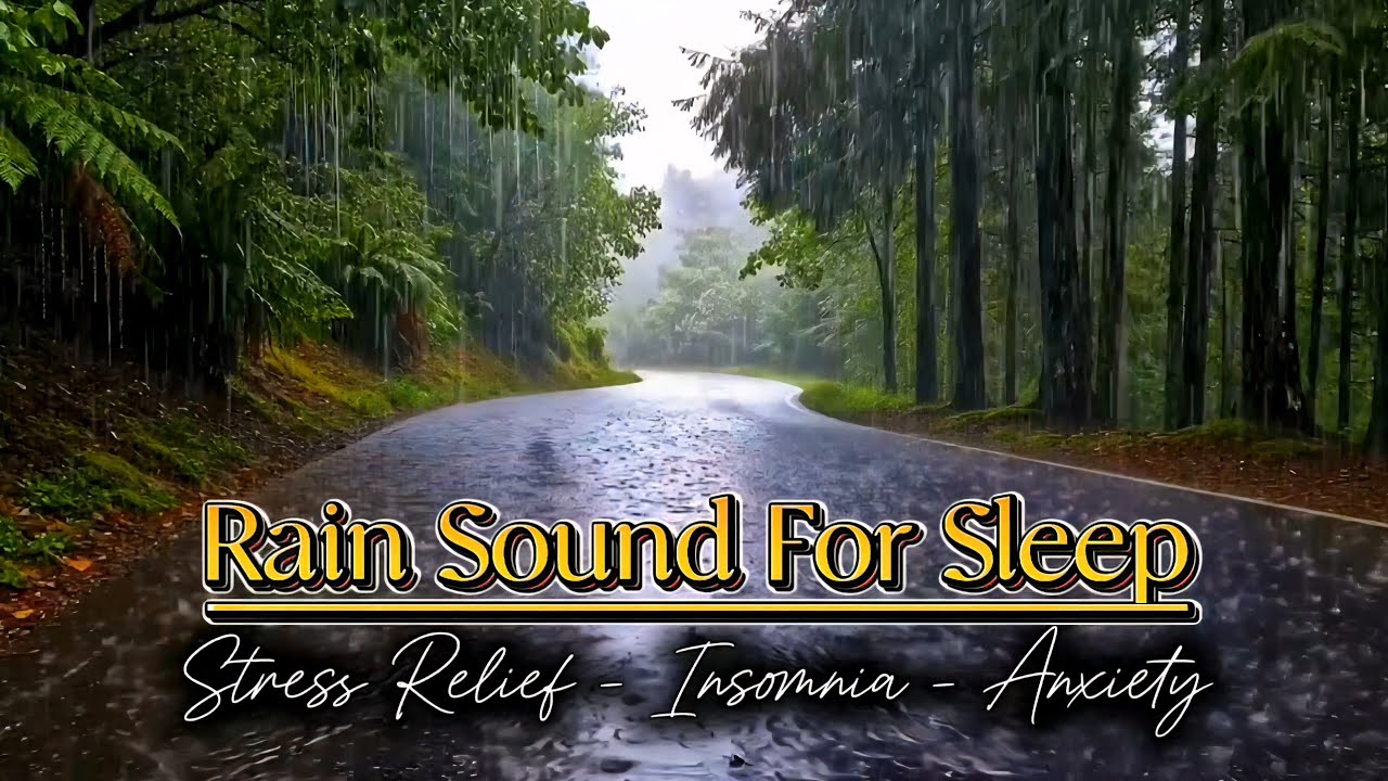 Listen to the Rain on the Forest Asphalt 🌧️| Relaxing Rain Sounds in the Woods For Sleep,  Anxiety