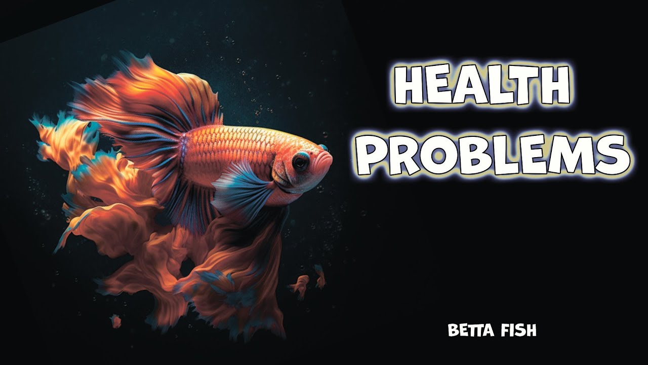 What health problems the BETTA FISH has?