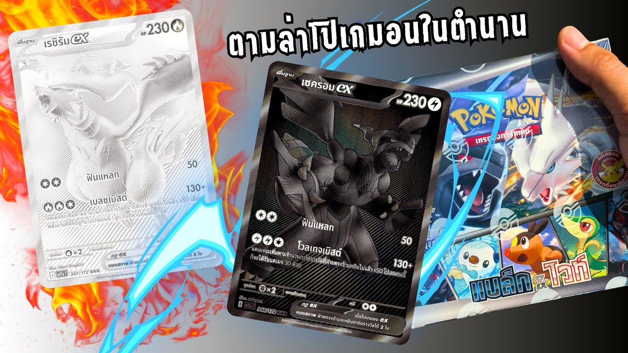 เปิดการ์ดโปเกมอน ชุดใหม่ Black & White ตามล่าโปเกมอนในตำนาน จะเจอไหม?🤣 #pokemoncards #แบล็คแอนไวท์