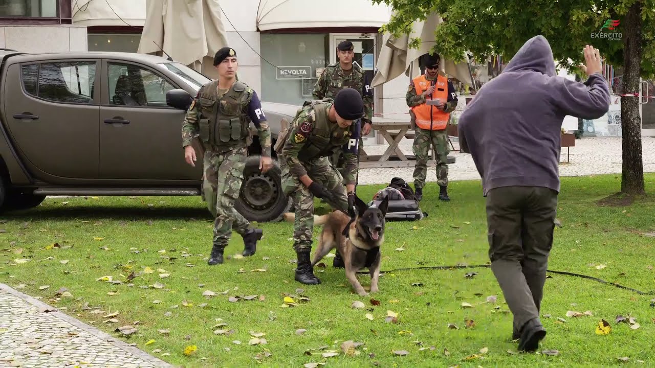 Demonstração Cinotécnica do Grupo de Polícia do Exército