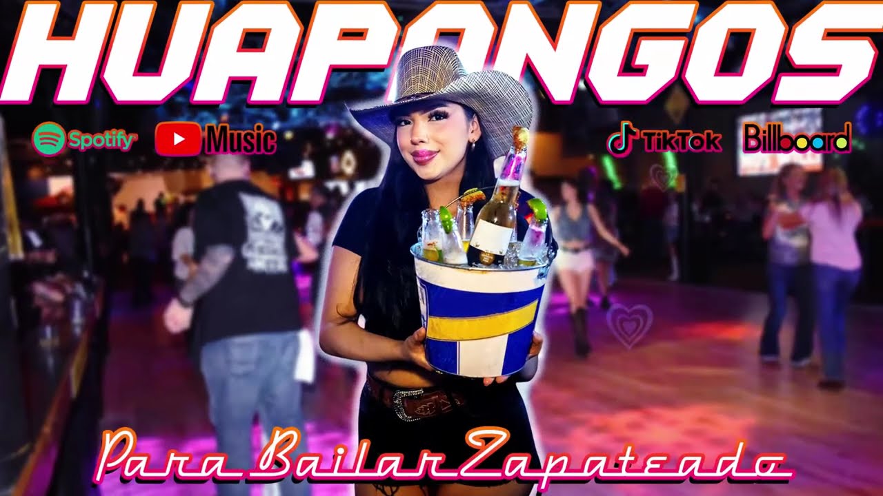 Mix Huapangos 2025 🔥 Huapangos Pa' Bailar y Zapatear 🔥 Popurri De Huapangos 2025