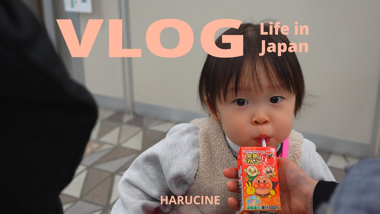하루씨네 VLOG | 일본에서 한국면허 전환 첫걸음! 그리고 삿포로역에서 만난 인생 부타동🐽