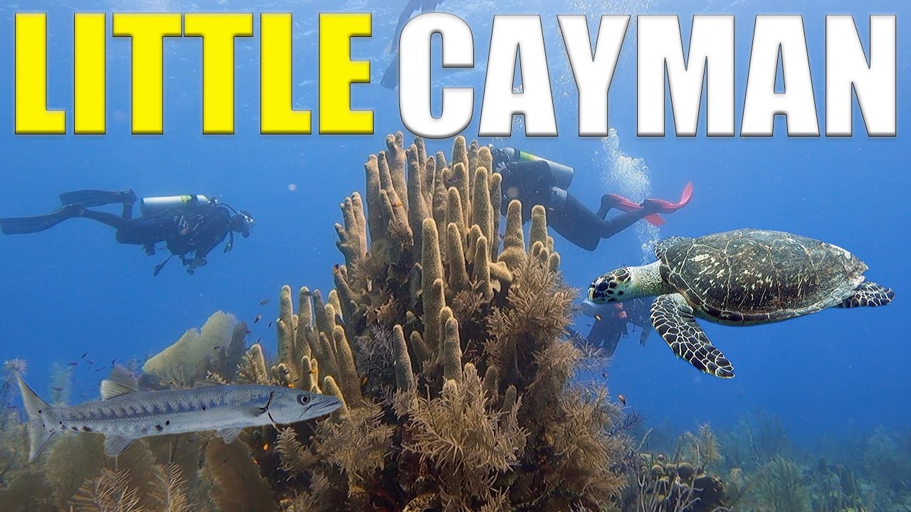 Scuba Diving The MIXING BOWL In Little Cayman