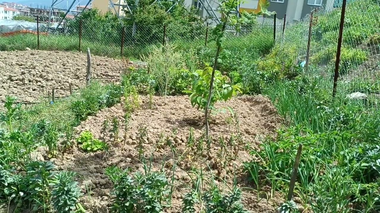 21 Şubat 2026