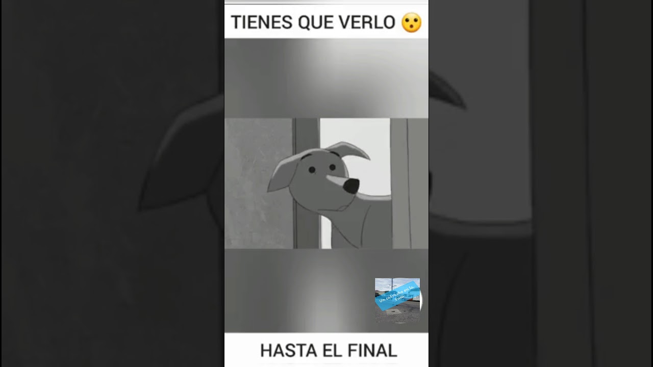 El vídeo más triste del mundo😪😪