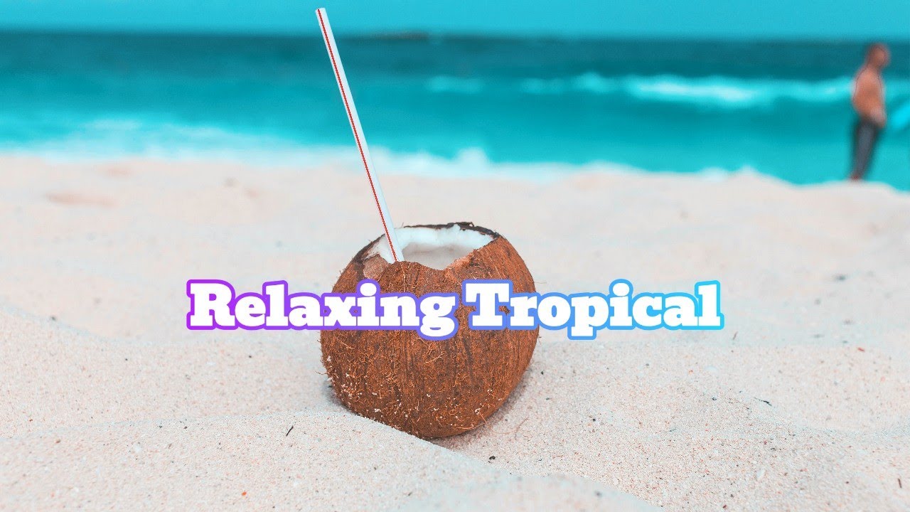 Relaxing Tropical Music Playlist for Calm Mind and Summer Chill / 트로피컬 하우스 휴식음악