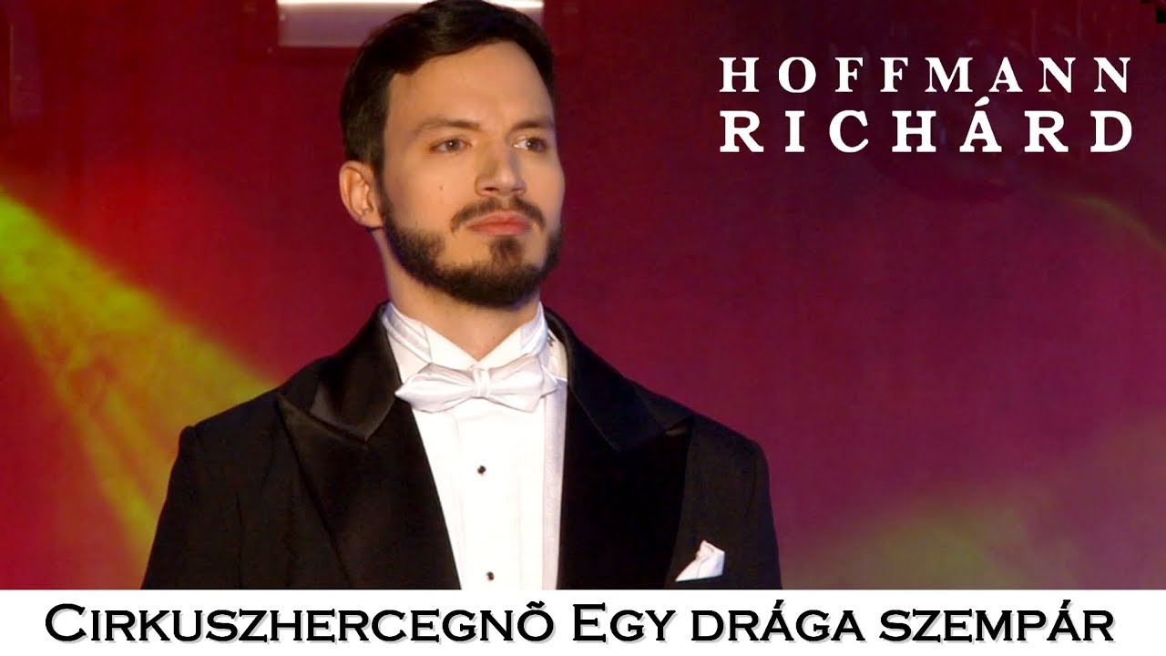 HOFFMANN RICHÁRD - Egy drága szempár MISTER X Belépője