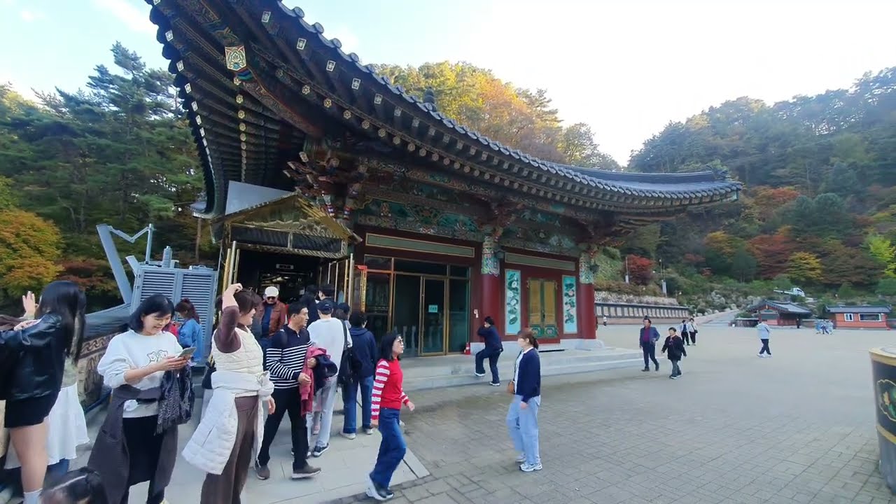단풍에 물들은 단양 구인사 여행 (2025.11.1)