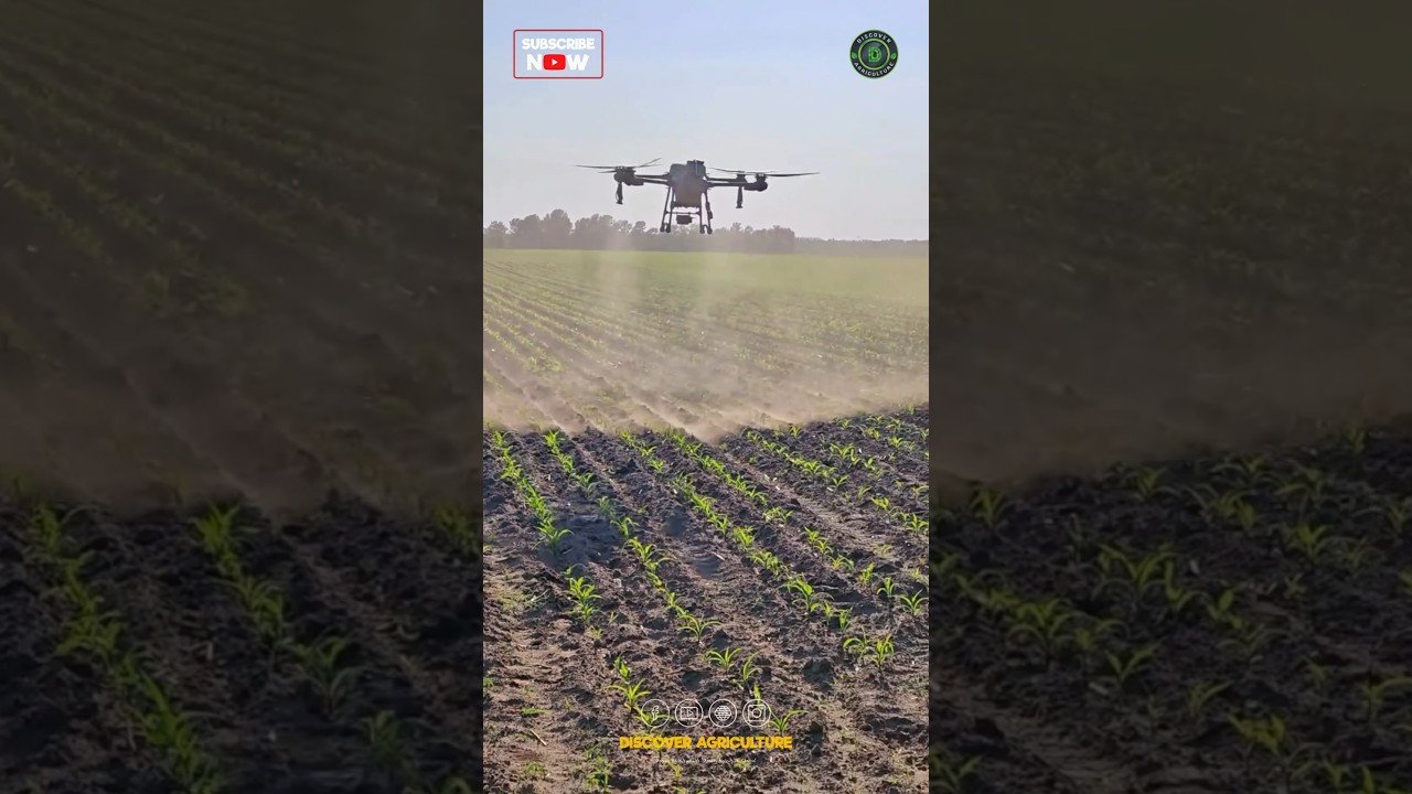 Best Agriculture Spray Drone
