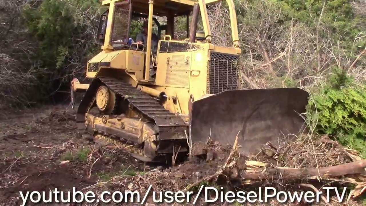 Caterpillar D5M Pushing Overgrown Cedar Trees! Part 4