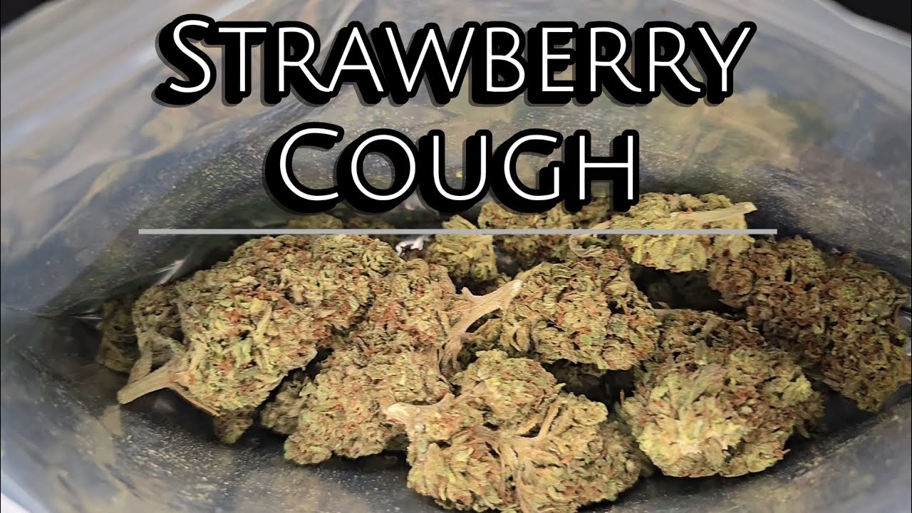 THCA Small Buds | Strawberry Cough Review | $380 LB Bulk Budget Buds | THCA Nation