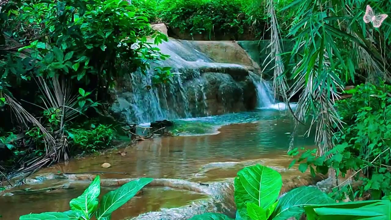 Relaxing Music For Stress Relief, Anxiety and Depressive States🌲 Heal Mind, Body and Soul Calm 79
