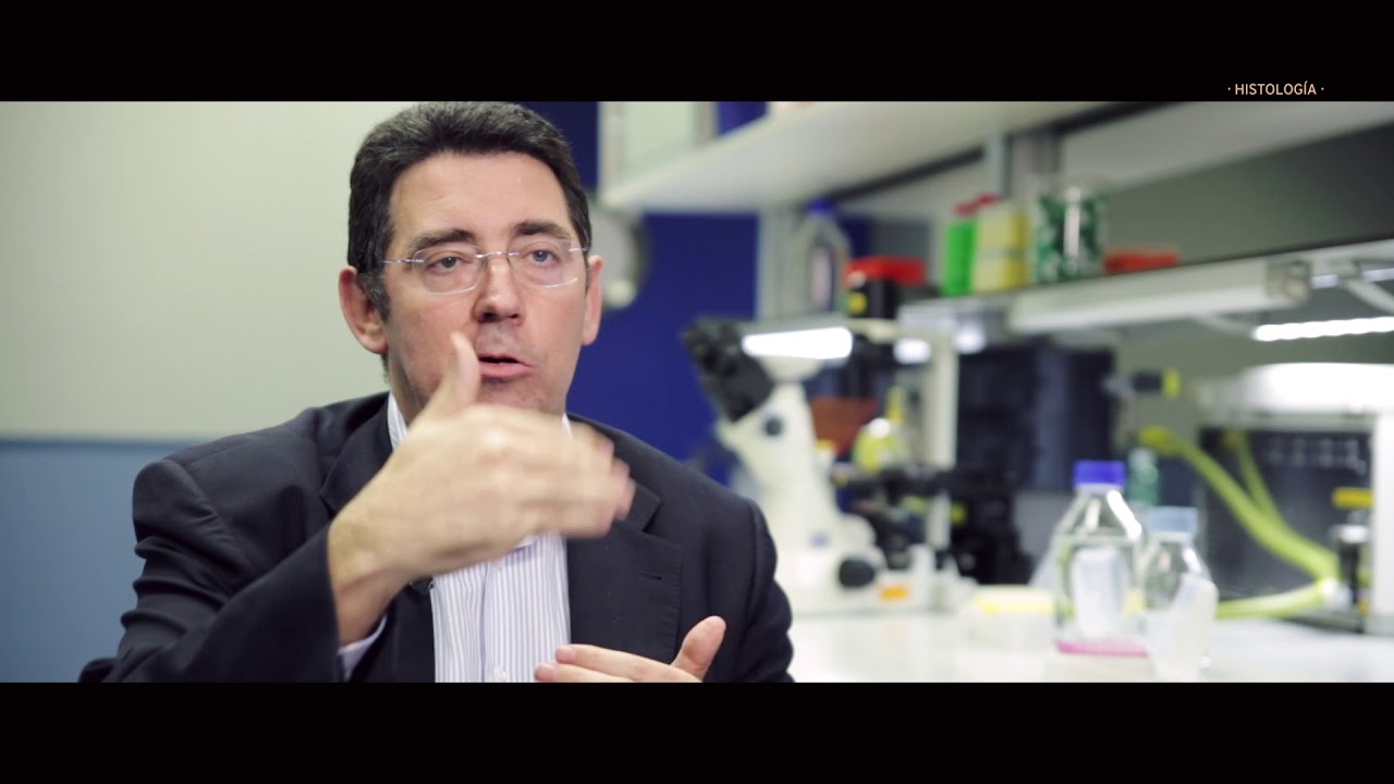 Servicio de Histología del IBiS