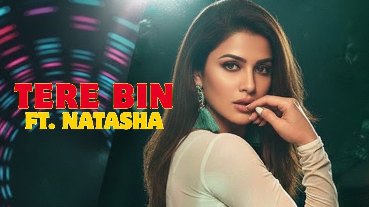 Tere Bin Mashup ❤️ | Emotional Hindi Love Remix | Flint Record