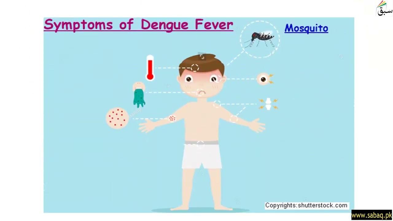 Malaria and Dengue Fever