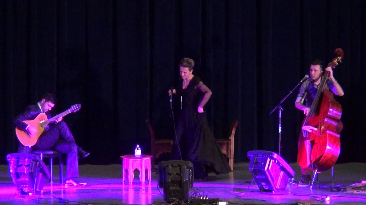 Amira Medunjanin - Ajde Jano - Live - Wiener Sevdah