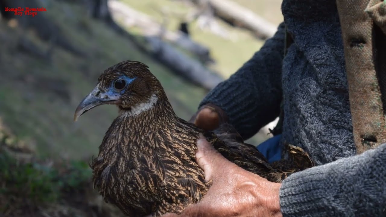 Kind and touching moments: A person with golden heart saving wild life