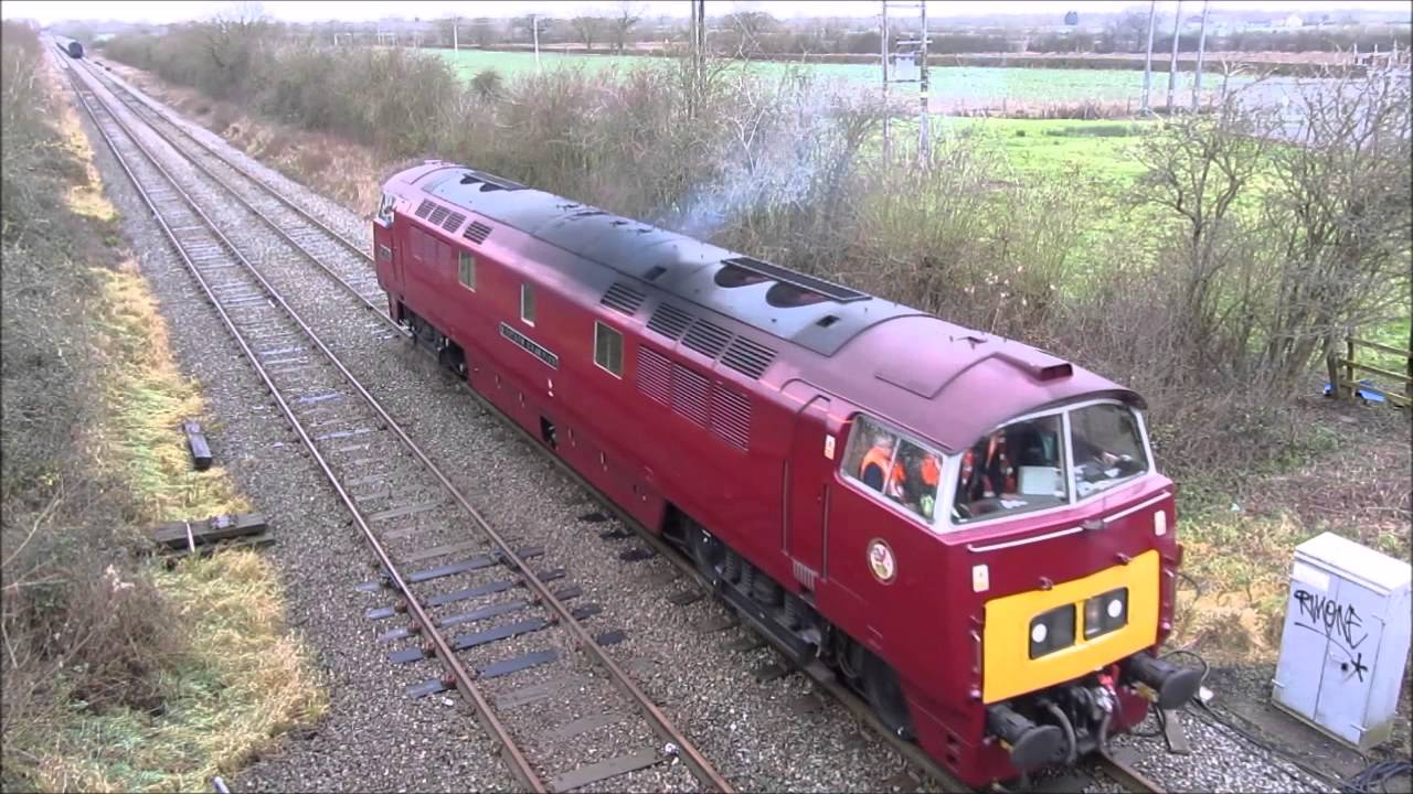 D1015 