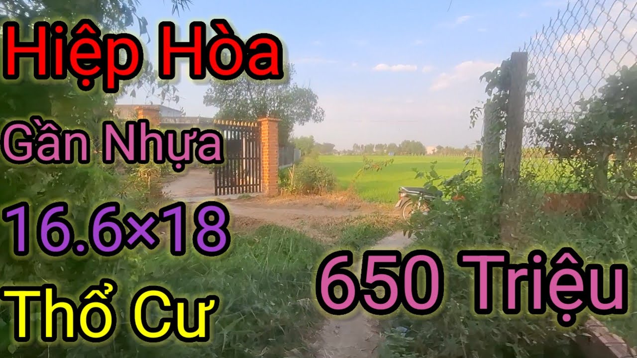 ĐẤT HIỆP HÒA LONG AN CŨ  GẦN NHỰA DÂN CƯ ĐÔNG ĐÚC 16.6×18 FULL CƯ 650 TRIỆU BÁN NHANH
