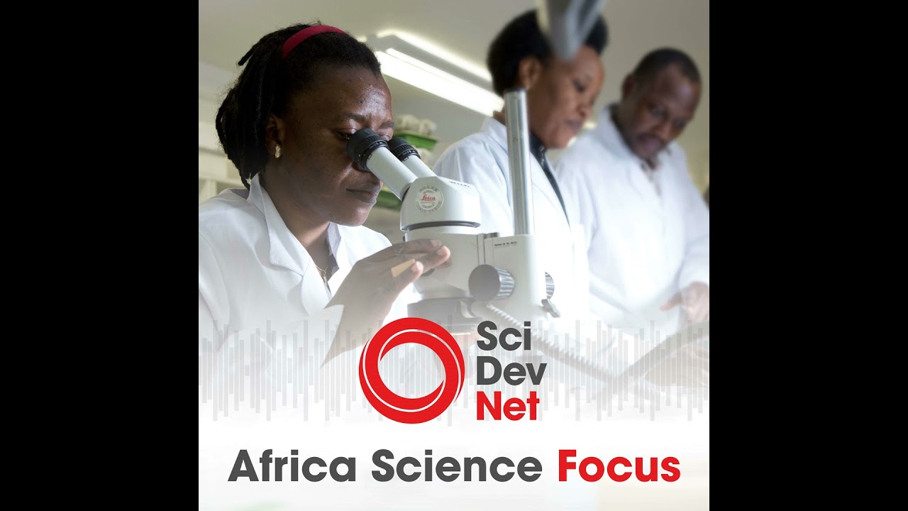 Youth, women bridge Africa health gaps