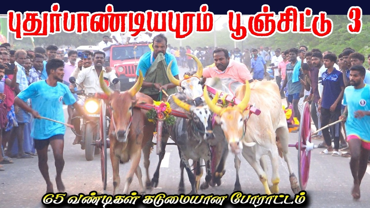 தூத்துக்குடி புதூர் பாண்டியாபுரம் பூஞ்சிட்டு 3 40k பந்தயம் #krish_studio_kattumavadi