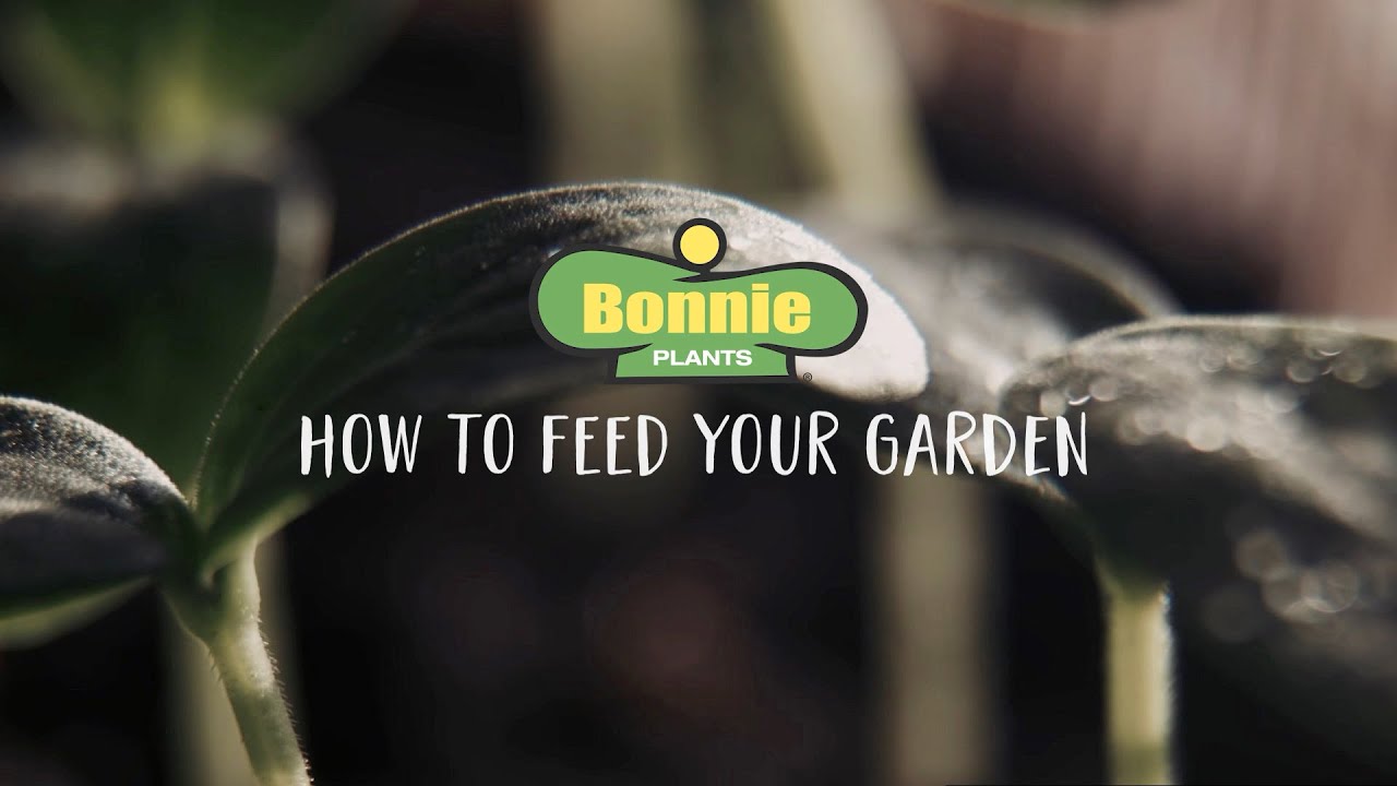 Welcome To The Garden: How to Feed Your Garden