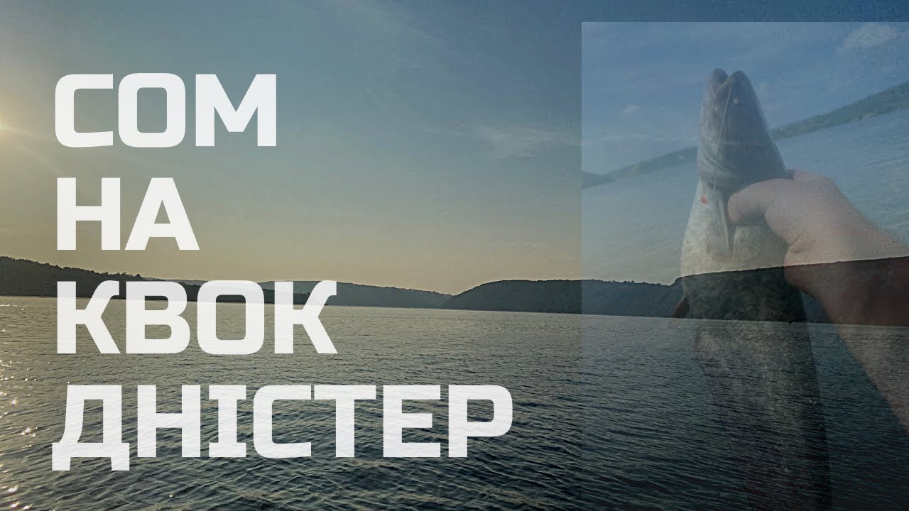 ЛОВЛЯ СОМА НА КВОК 2023. Рибалка на р.Дністер 2023. Фідер з човна. Частина 1