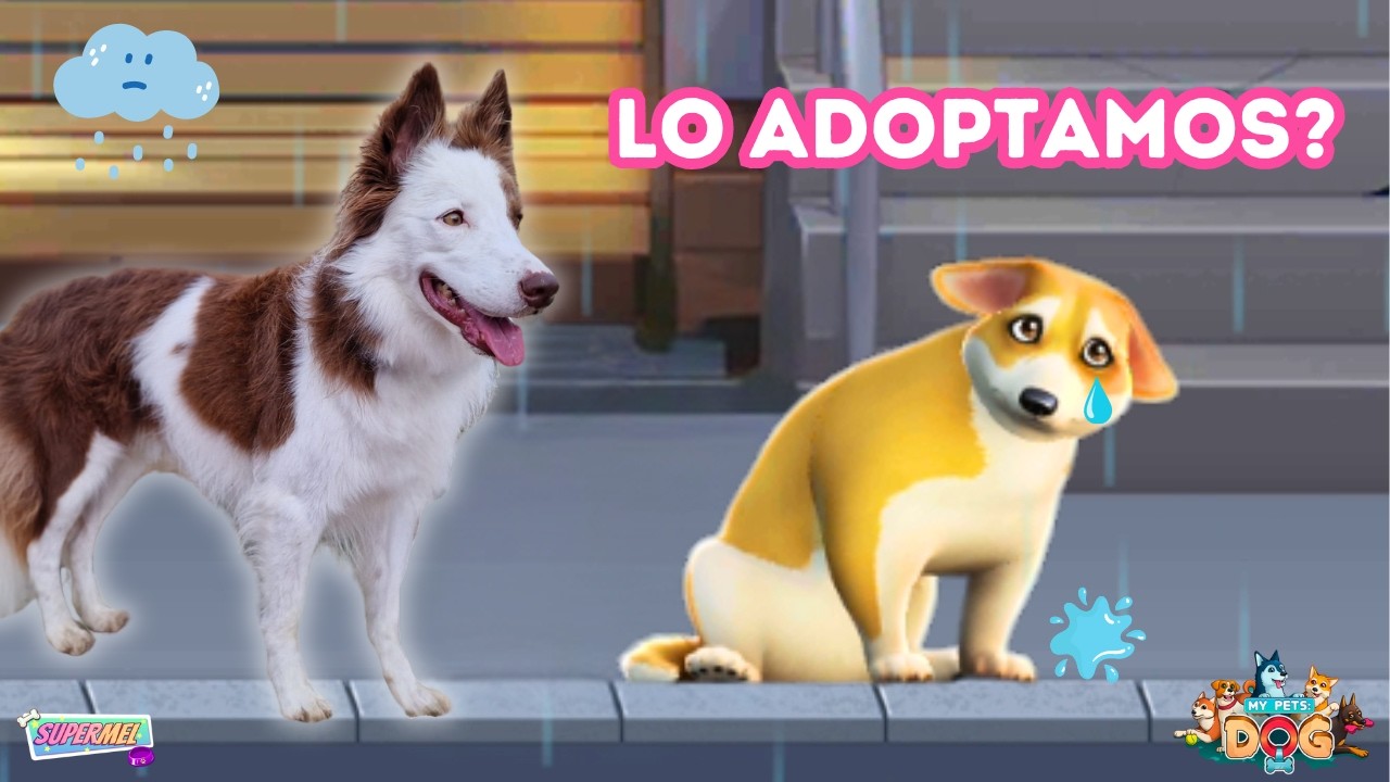 SIMULADOR de ADOPTAR PERROS CALLEJEROS! 🐶 #1