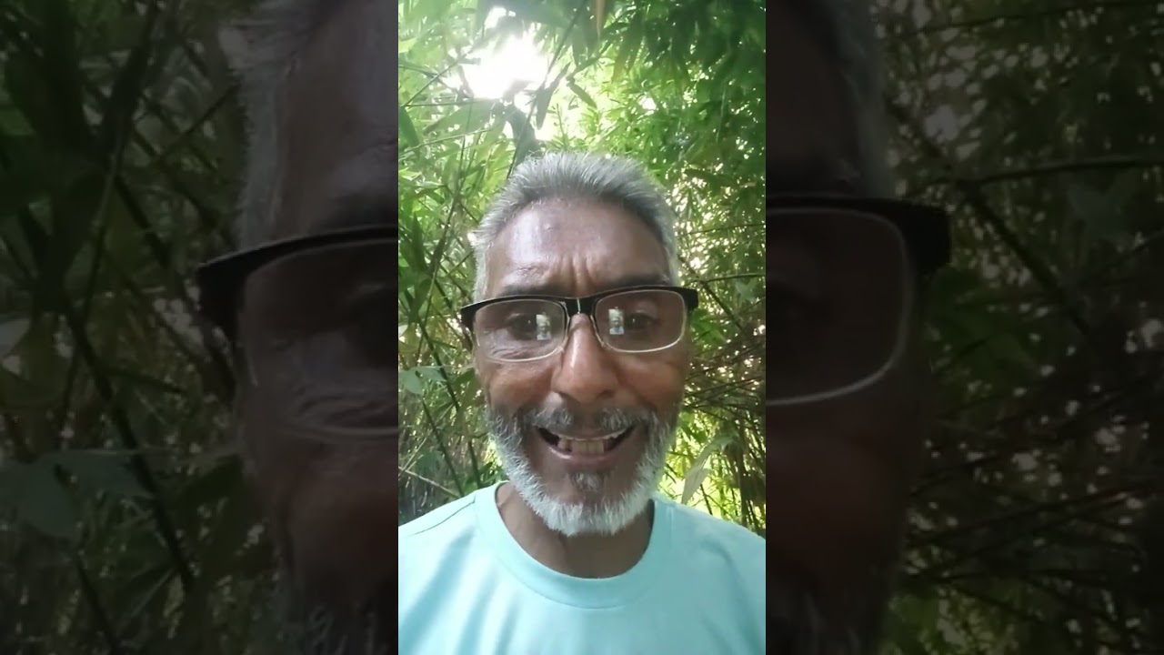 16 de fevereiro de 2026