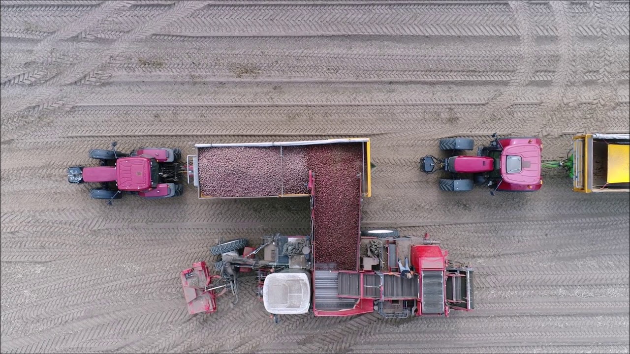 Aardappels rooien/Digest potatoes  firma Hulshoff BV, Dewulf RA 3060 2 rijige zeefbandrooier