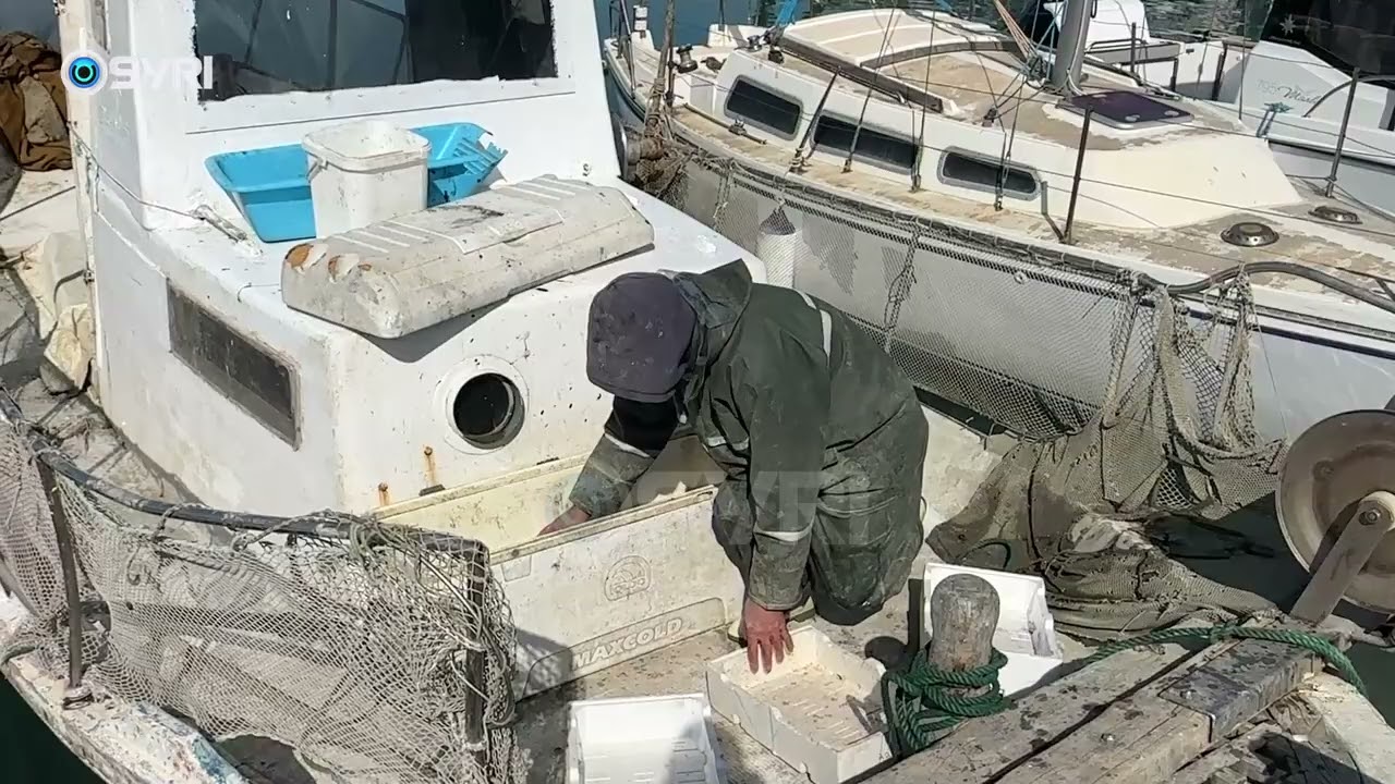Gjuetia me dinamit dëmton bregdetin e Vlorës, specialistët: Shpërthimi shkatërron habitatin