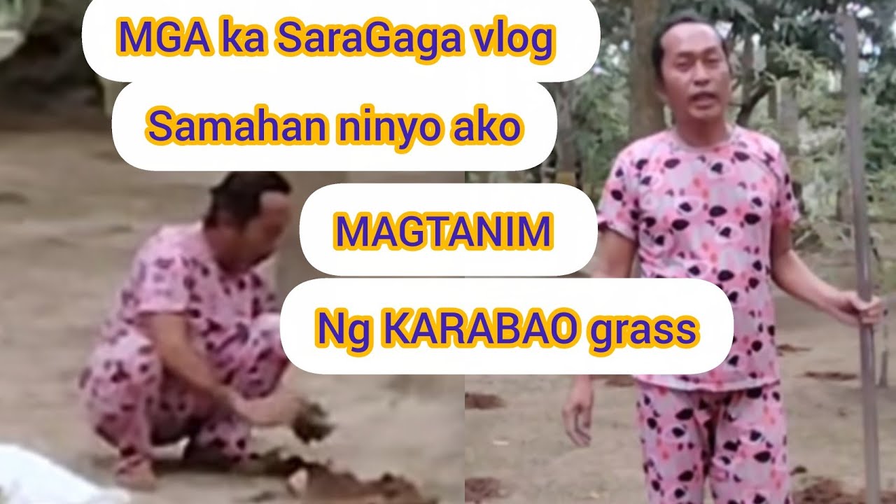 HELLO MGA KA SARAGAGA VLOG SAMAHAN NINYO AKO MAGTANIM TAYO NG KARABAO GRASS @aileenkalev5809 