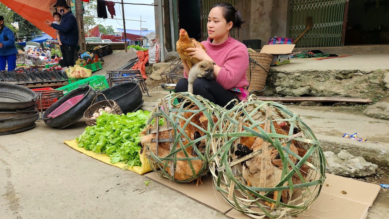 Harvest Chicken Eggs, Vegetables & Chickens go market | Lý Thị Ca.