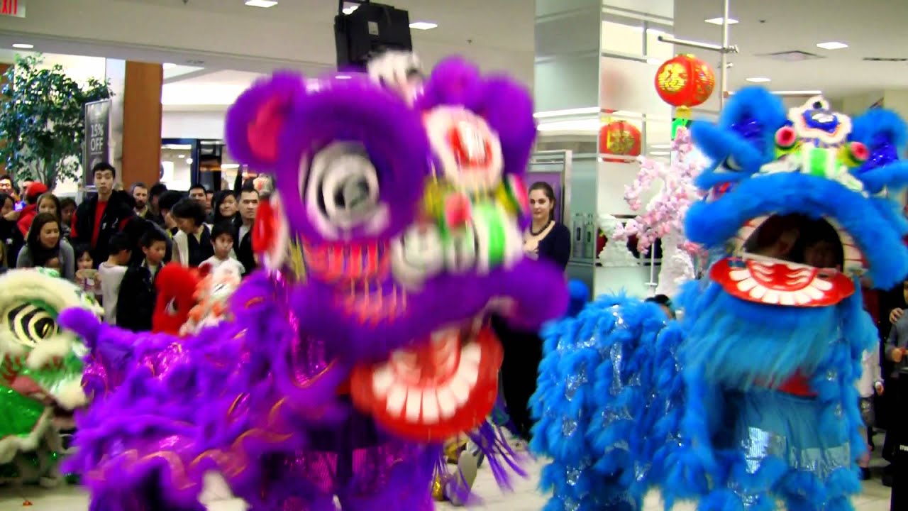 Party Rock Anthem Lion Dance Performance 2