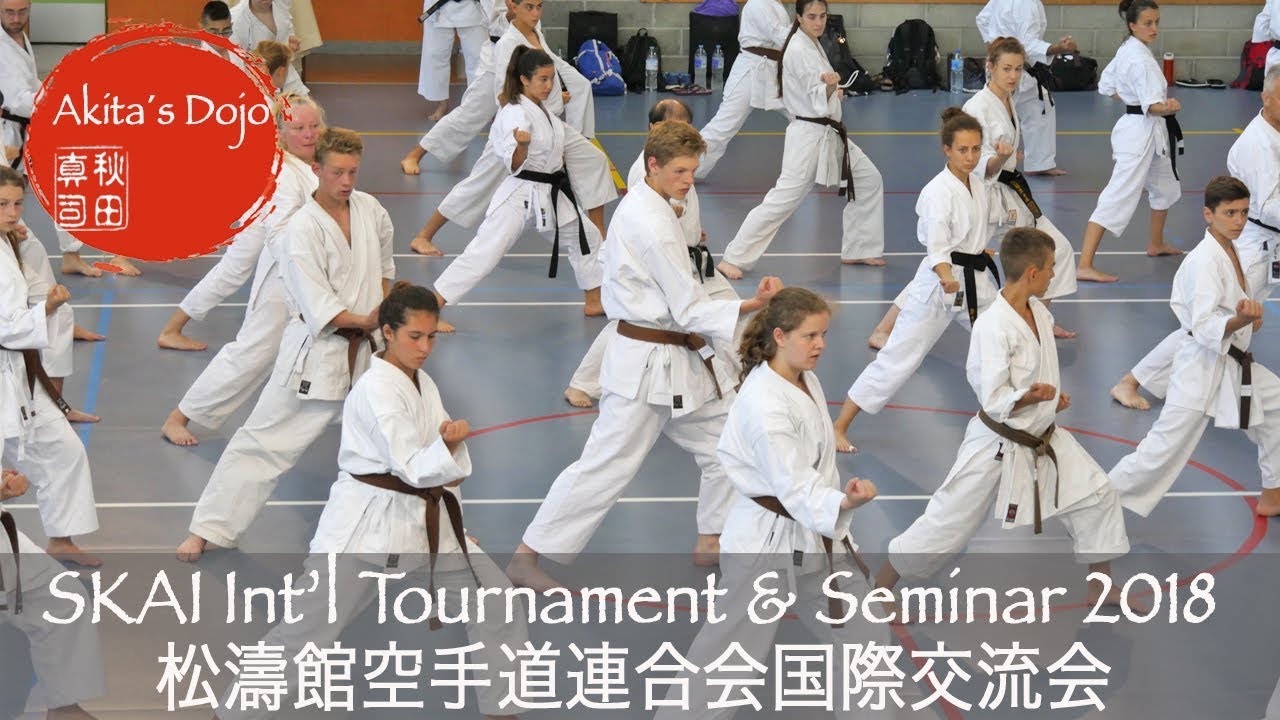 SKAI International Championship 2018 in France, Shotokan Karate-do Alliance Int&rsquo;l【Akita's Video】