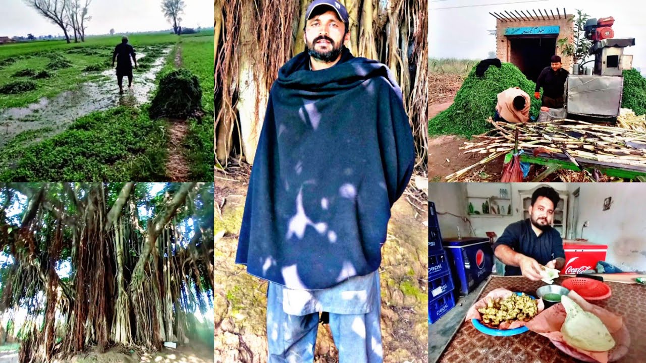 Aj Ka Din Kesa Guzra | Dost k Sath Enjoy kiya 🥰