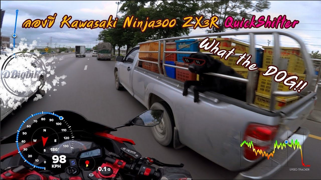 ลองขี่ Kawasaki ZX3R Ninja300 ใส่ QuickShifter สับมันส์ๆเป็น Superbike