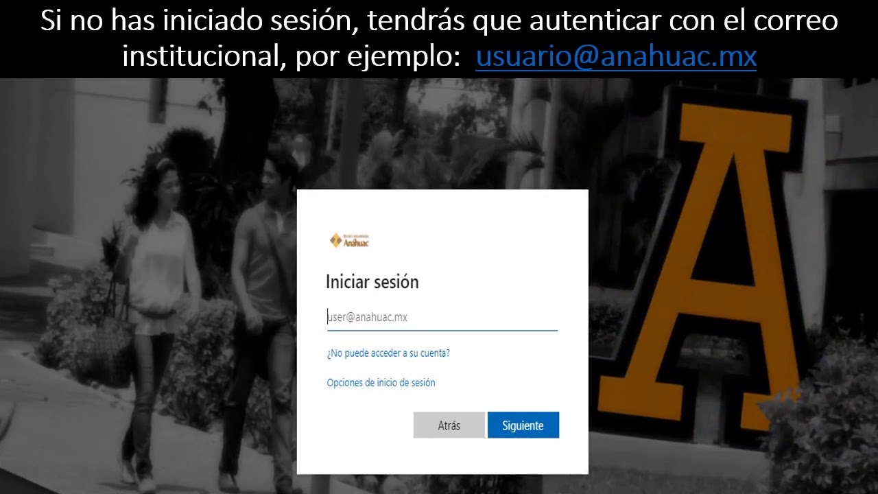 Bibliomedia: Guía básica
