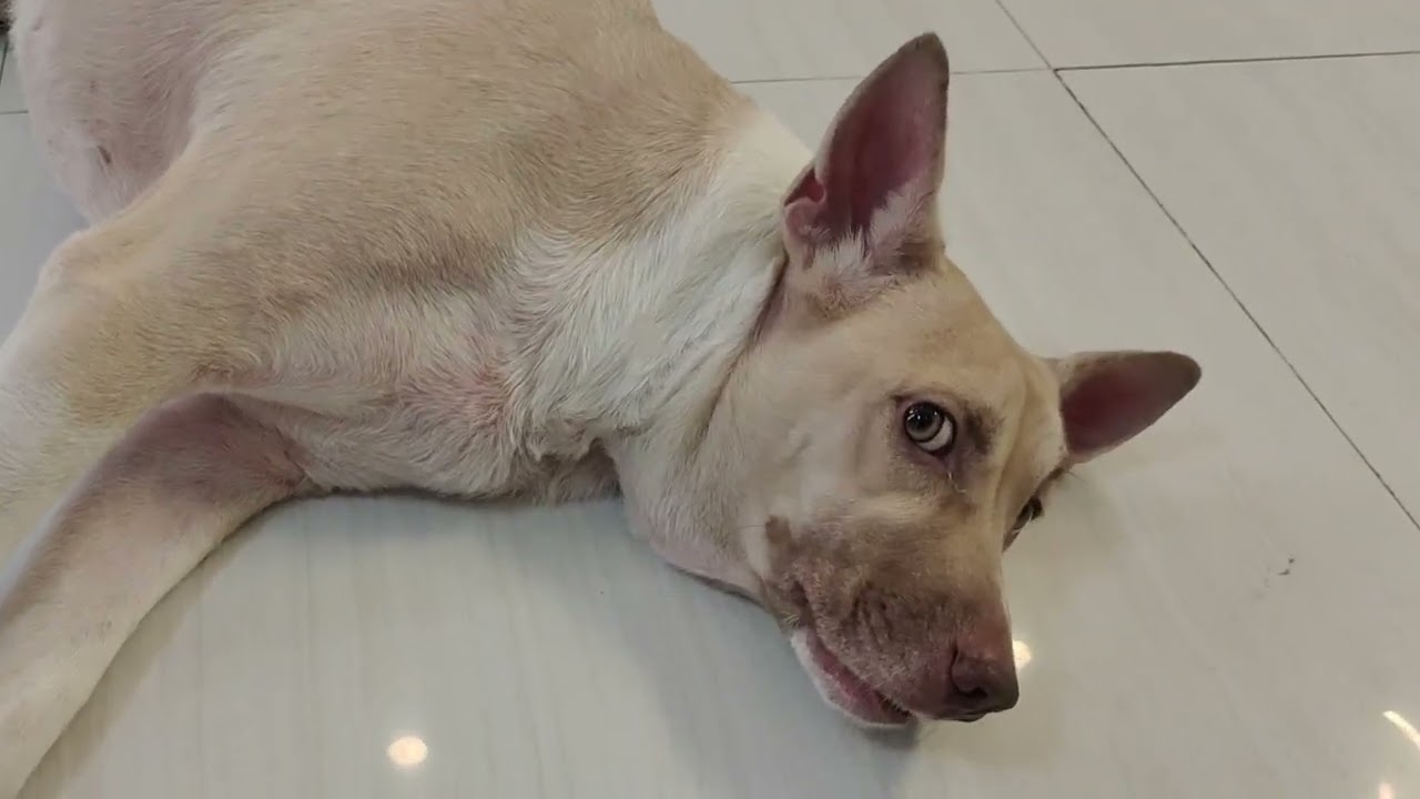 Parang Tao ka talaga Sumagot Theo