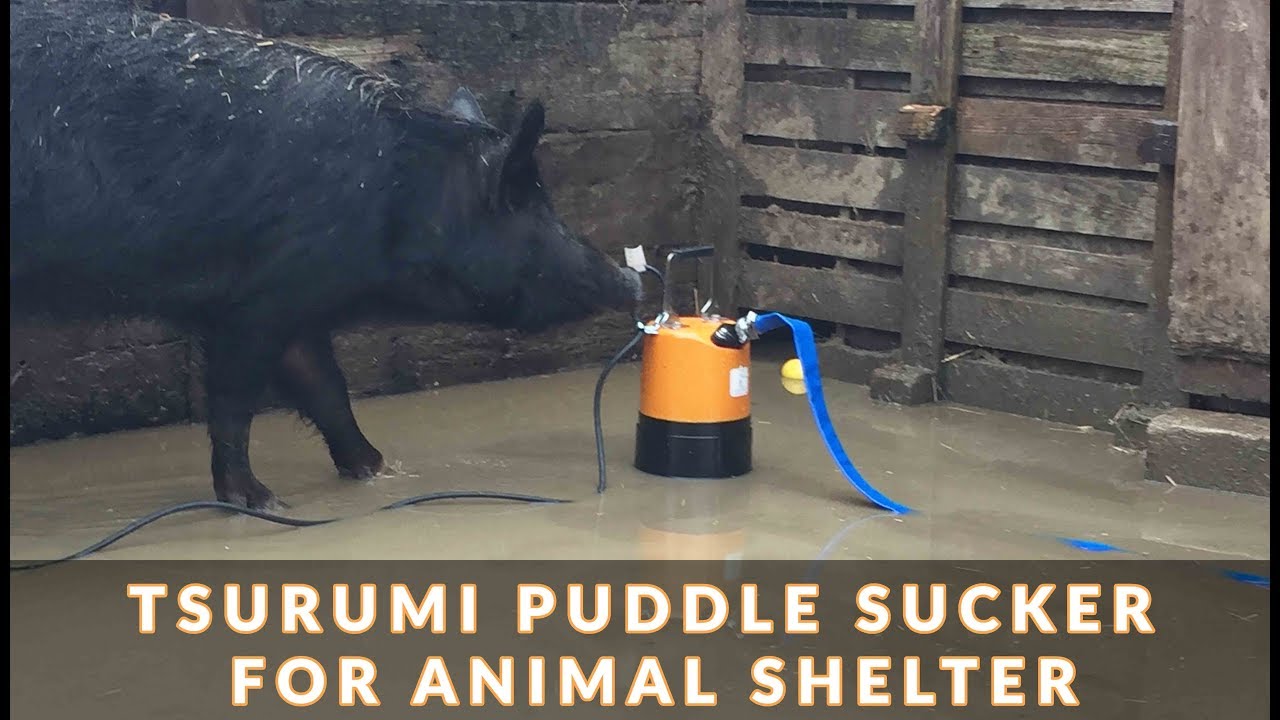 Obart donates LSC Puddle Sucker to Animal Shelter